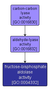 GO:0004332 - fructose-bisphosphate aldolase activity (interactive image map)
