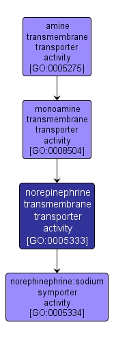 GO:0005333 - norepinephrine transmembrane transporter activity (interactive image map)