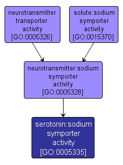 GO:0005335 - serotonin:sodium symporter activity (interactive image map)