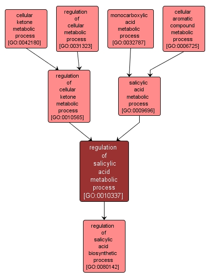 GO:0010337 - regulation of salicylic acid metabolic process (interactive image map)