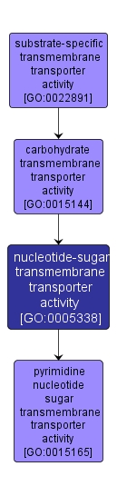GO:0005338 - nucleotide-sugar transmembrane transporter activity (interactive image map)