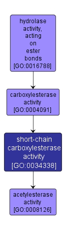 GO:0034338 - short-chain carboxylesterase activity (interactive image map)