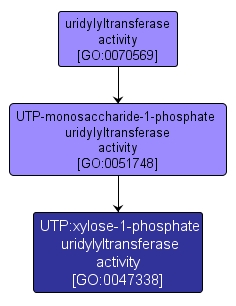 GO:0047338 - UTP:xylose-1-phosphate uridylyltransferase activity (interactive image map)