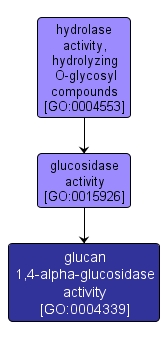 GO:0004339 - glucan 1,4-alpha-glucosidase activity (interactive image map)