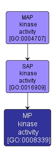 GO:0008339 - MP kinase activity (interactive image map)