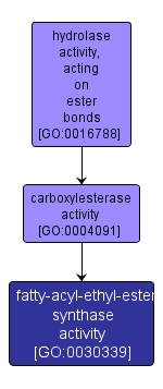 GO:0030339 - fatty-acyl-ethyl-ester synthase activity (interactive image map)