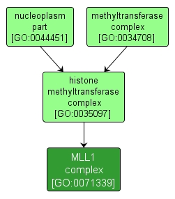 GO:0071339 - MLL1 complex (interactive image map)