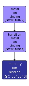 GO:0045340 - mercury ion binding (interactive image map)