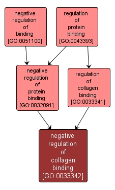 GO:0033342 - negative regulation of collagen binding (interactive image map)