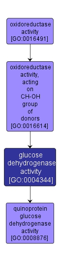 GO:0004344 - glucose dehydrogenase activity (interactive image map)