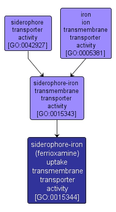 GO:0015344 - siderophore-iron (ferrioxamine) uptake transmembrane transporter activity (interactive image map)