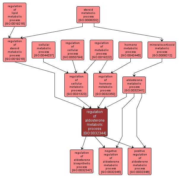 GO:0032344 - regulation of aldosterone metabolic process (interactive image map)