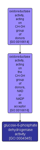 GO:0004345 - glucose-6-phosphate dehydrogenase activity (interactive image map)