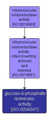 GO:0004347 - glucose-6-phosphate isomerase activity (interactive image map)