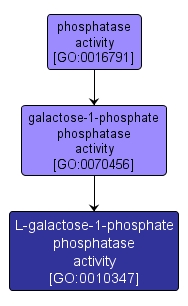 GO:0010347 - L-galactose-1-phosphate phosphatase activity (interactive image map)