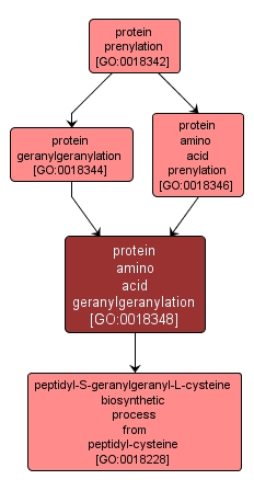 GO:0018348 - protein amino acid geranylgeranylation (interactive image map)