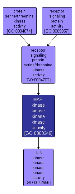 GO:0008349 - MAP kinase kinase kinase kinase activity (interactive image map)