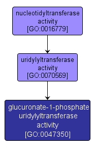 GO:0047350 - glucuronate-1-phosphate uridylyltransferase activity (interactive image map)