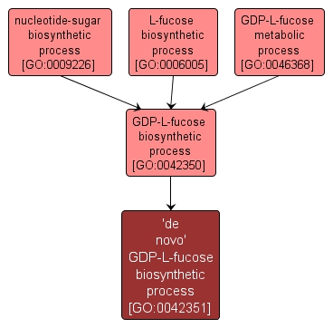GO:0042351 - 'de novo' GDP-L-fucose biosynthetic process (interactive image map)