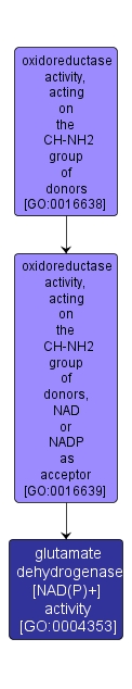 GO:0004353 - glutamate dehydrogenase [NAD(P)+] activity (interactive image map)