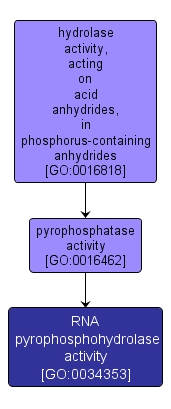 GO:0034353 - RNA pyrophosphohydrolase activity (interactive image map)