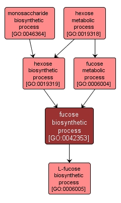 GO:0042353 - fucose biosynthetic process (interactive image map)