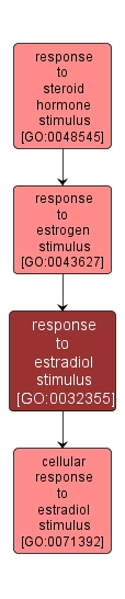 GO:0032355 - response to estradiol stimulus (interactive image map)