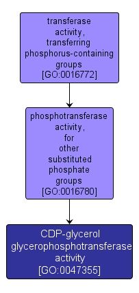 GO:0047355 - CDP-glycerol glycerophosphotransferase activity (interactive image map)