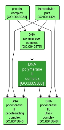 GO:0009360 - DNA polymerase III complex (interactive image map)