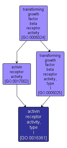 GO:0016361 - activin receptor activity, type I (interactive image map)