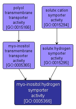 GO:0005366 - myo-inositol:hydrogen symporter activity (interactive image map)