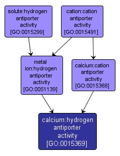 GO:0015369 - calcium:hydrogen antiporter activity (interactive image map)