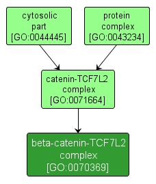 GO:0070369 - beta-catenin-TCF7L2 complex (interactive image map)