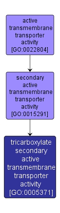 GO:0005371 - tricarboxylate secondary active transmembrane transporter activity (interactive image map)
