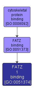 GO:0051374 - FATZ 1 binding (interactive image map)