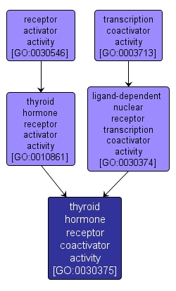 GO:0030375 - thyroid hormone receptor coactivator activity (interactive image map)