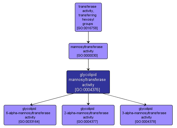 GO:0004376 - glycolipid mannosyltransferase activity (interactive image map)