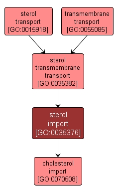 GO:0035376 - sterol import (interactive image map)