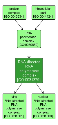 GO:0031379 - RNA-directed RNA polymerase complex (interactive image map)