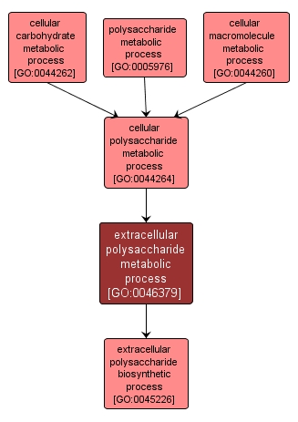 GO:0046379 - extracellular polysaccharide metabolic process (interactive image map)