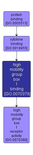 GO:0070379 - high mobility group box 1 binding (interactive image map)