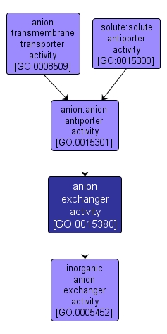 GO:0015380 - anion exchanger activity (interactive image map)