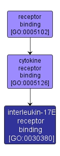 GO:0030380 - interleukin-17E receptor binding (interactive image map)