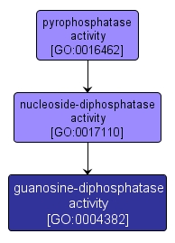 GO:0004382 - guanosine-diphosphatase activity (interactive image map)