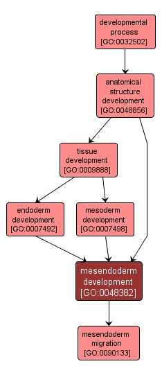 GO:0048382 - mesendoderm development (interactive image map)