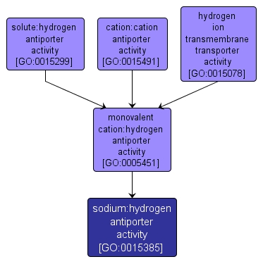 GO:0015385 - sodium:hydrogen antiporter activity (interactive image map)
