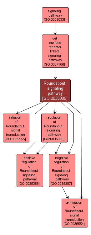 GO:0035385 - Roundabout signaling pathway (interactive image map)