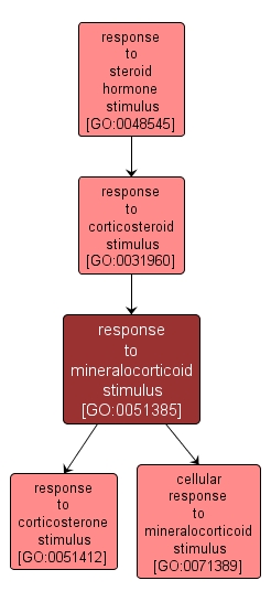 GO:0051385 - response to mineralocorticoid stimulus (interactive image map)