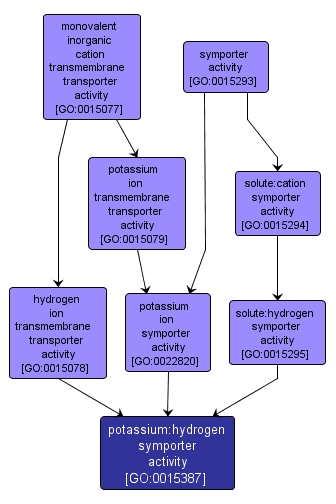 GO:0015387 - potassium:hydrogen symporter activity (interactive image map)