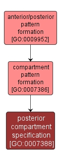 GO:0007388 - posterior compartment specification (interactive image map)